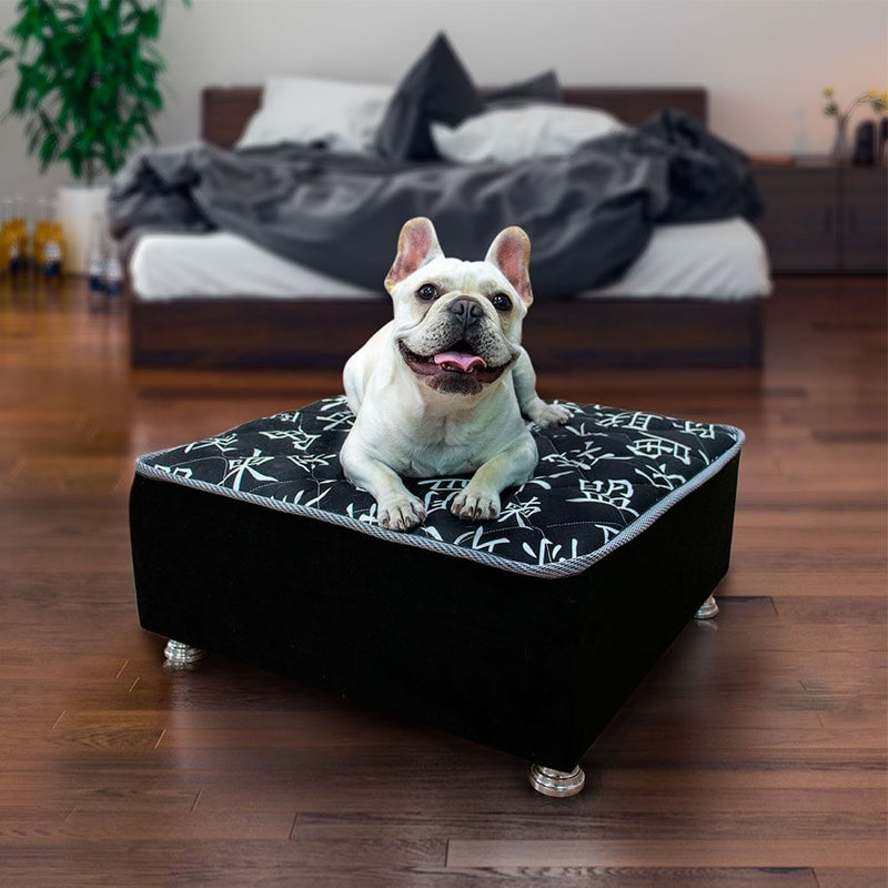 Cama Box Pet Sleep Black Cães E Gatos 50x50x20